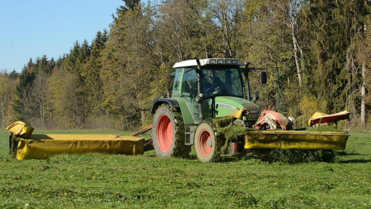 Ferienhof Weber Nieratz Wangen im Allgäu Buitenkant foto