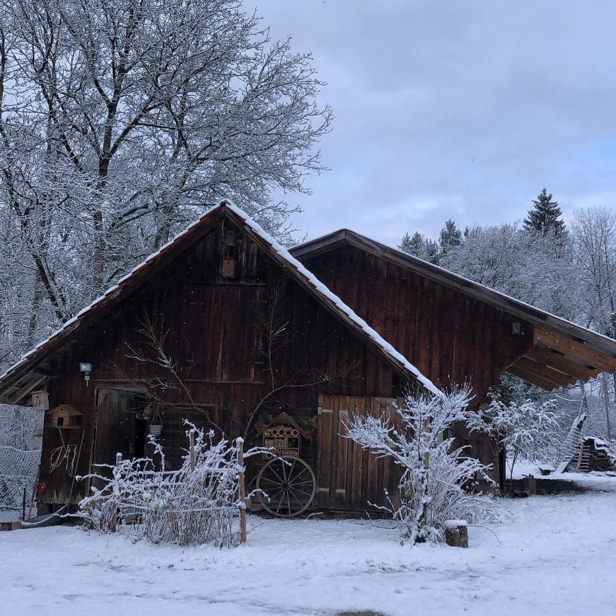 Ferienhof Weber Nieratz Wangen im Allgäu Buitenkant foto