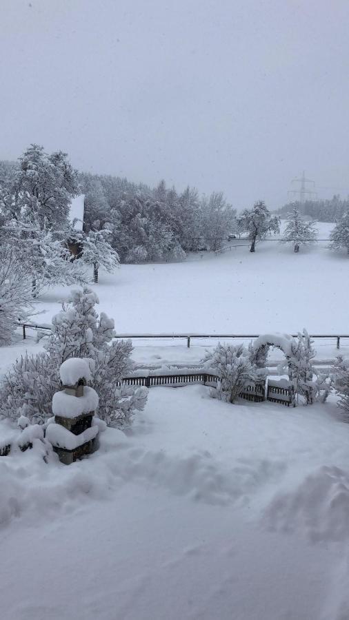 Ferienhof Weber Nieratz Wangen im Allgäu Buitenkant foto