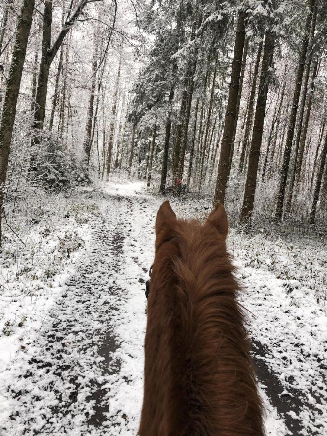 Ferienhof Weber Nieratz Wangen im Allgäu Buitenkant foto